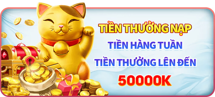 555win55 com